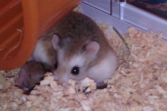 Photo de profil de c28fl