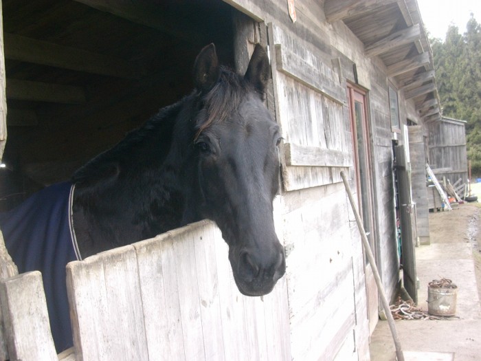 Photo de profil de princess33