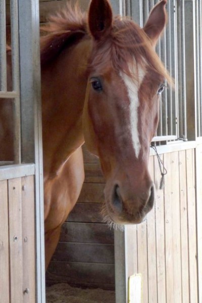 Photo de profil de elodienico84