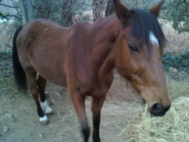 Photo de profil de herkel