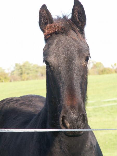 Photo de profil de titesodu51