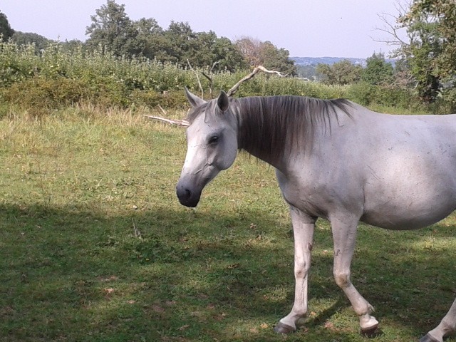 Photo de profil de biibiiche