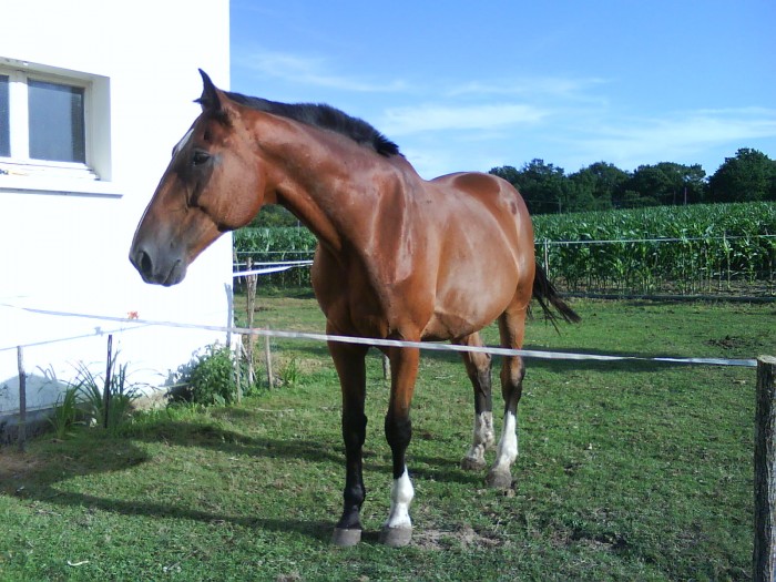 Photo de profil de desirdarmani