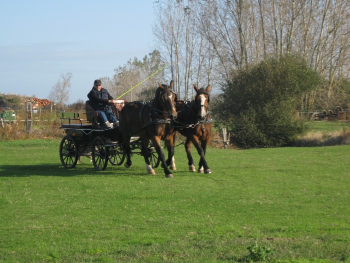 Photo de profil de dore