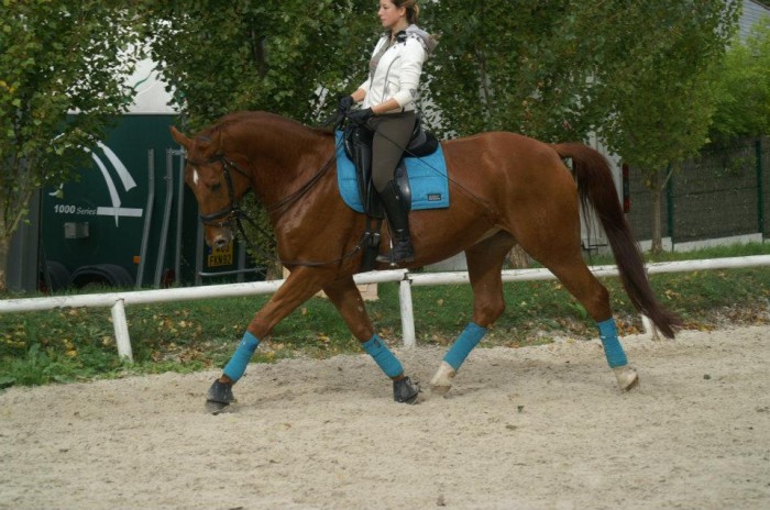 Photo de profil de floorentine