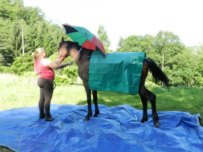 Photo de profil de dixoulle