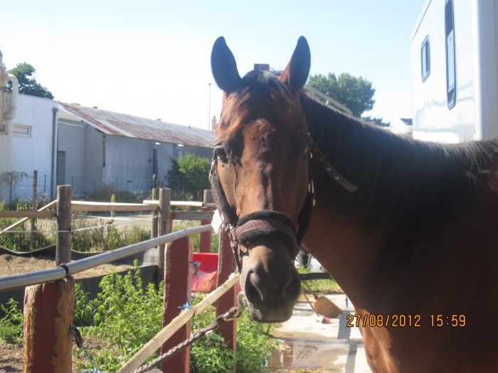 Photo de profil de cacahouet