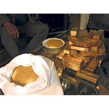 Photo de profil de nicolasleseul