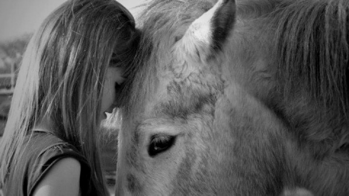 Photo de profil de melimelo96