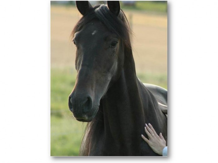 Photo de profil de georgette57100