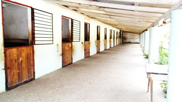 Photo de profil de paddockdor