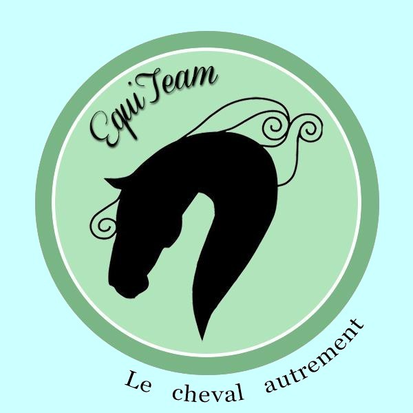 Photo de profil de equiteam