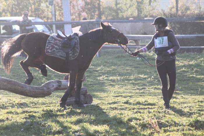 Photo de profil de redcaw