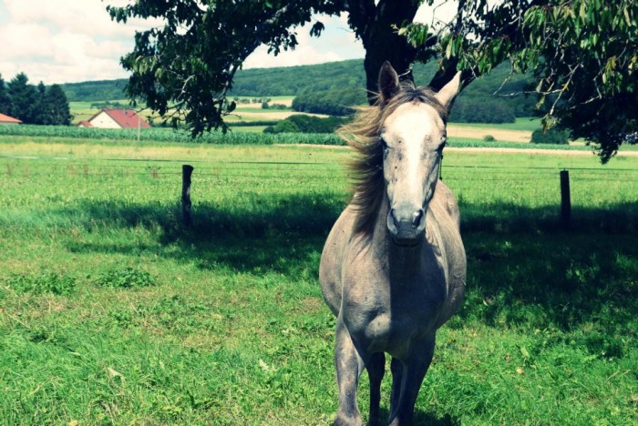 Photo de profil de fab25