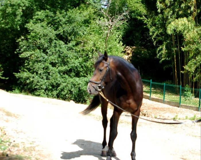 Photo de profil de tywass