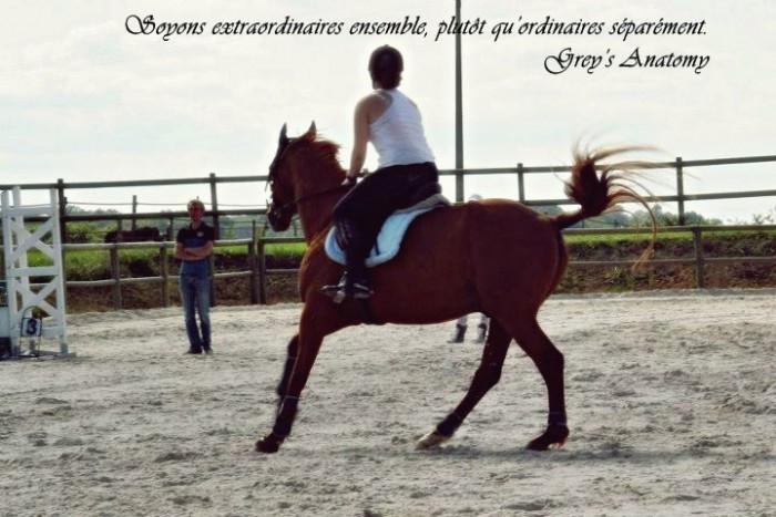 Photo de profil de noiraud51