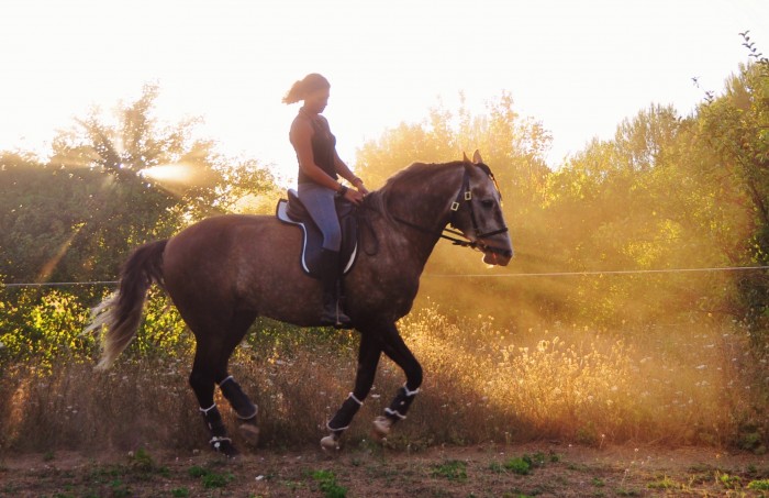 Photo de profil de chtitenanou