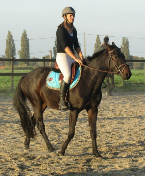 Photo de profil de utopiedelachoc