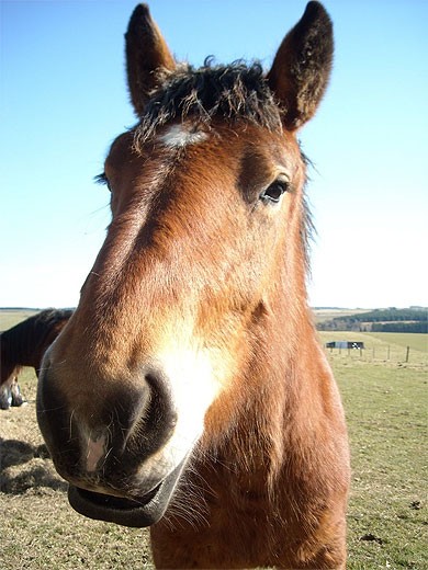 Photo de profil de jeweletriskan