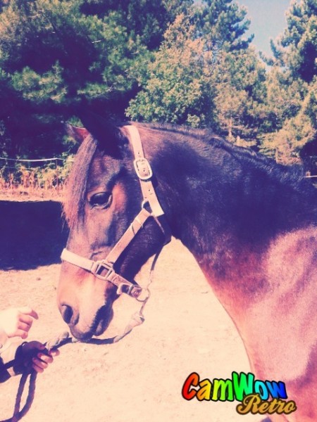 Photo de profil de flo28