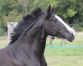 Photo de profil de saby95