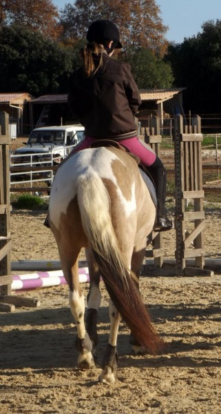 Photo de profil de nono26