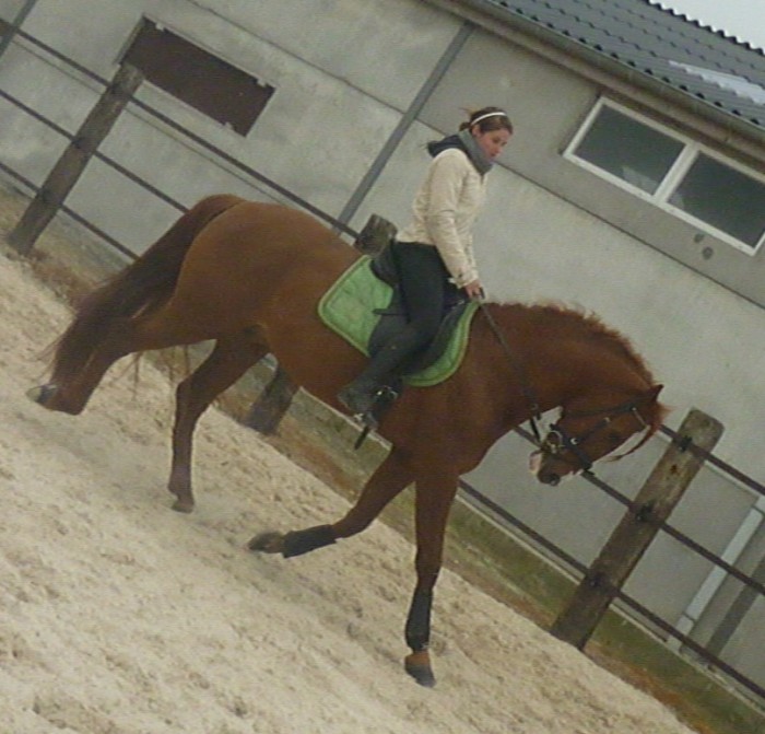 Photo de profil de fermebn