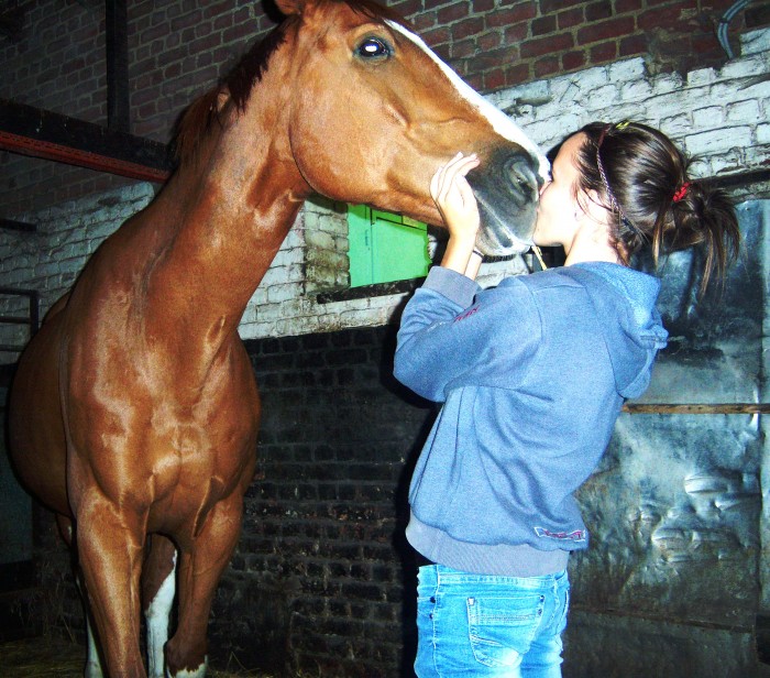 Photo de profil de wonderfulhorse