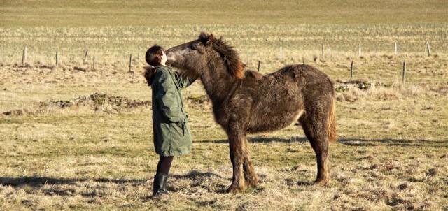 Photo de profil de alizeeboreale