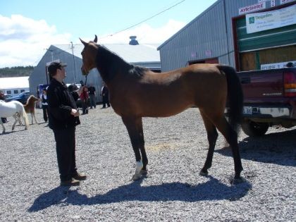 Photo de profil de ririvivi