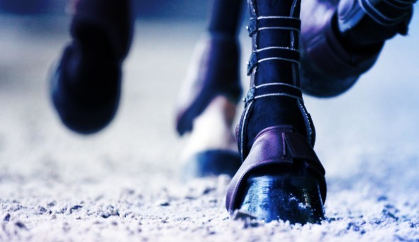 Photo de profil de jemarango