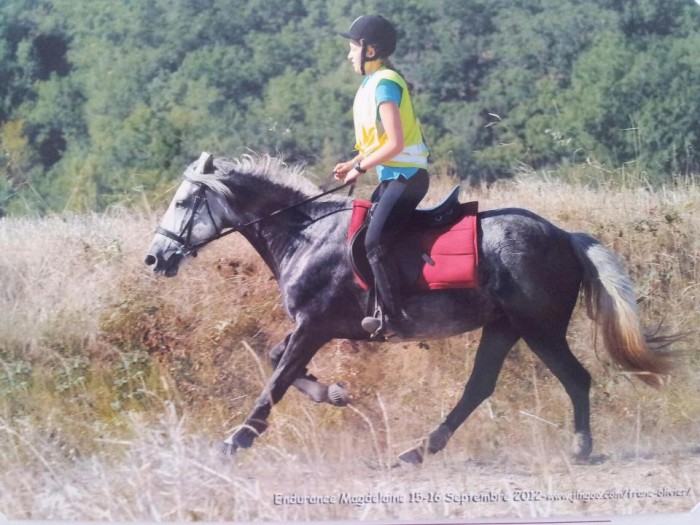 Photo de profil de sosodemonaco