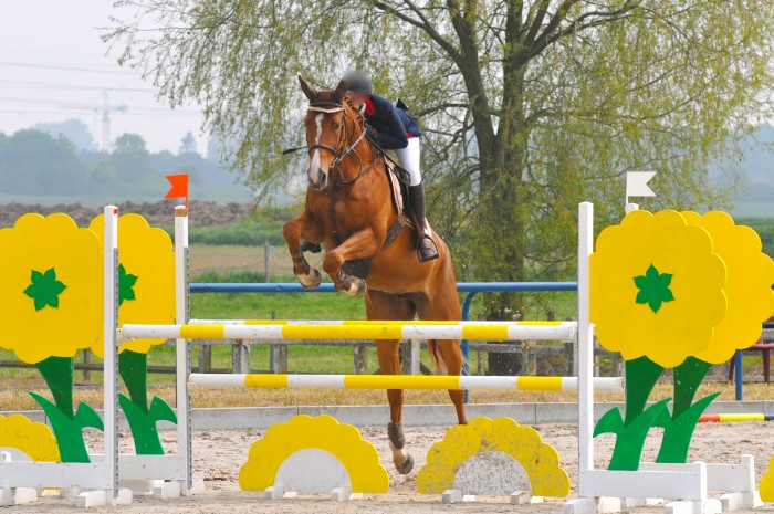 Photo de profil de rafaleclm