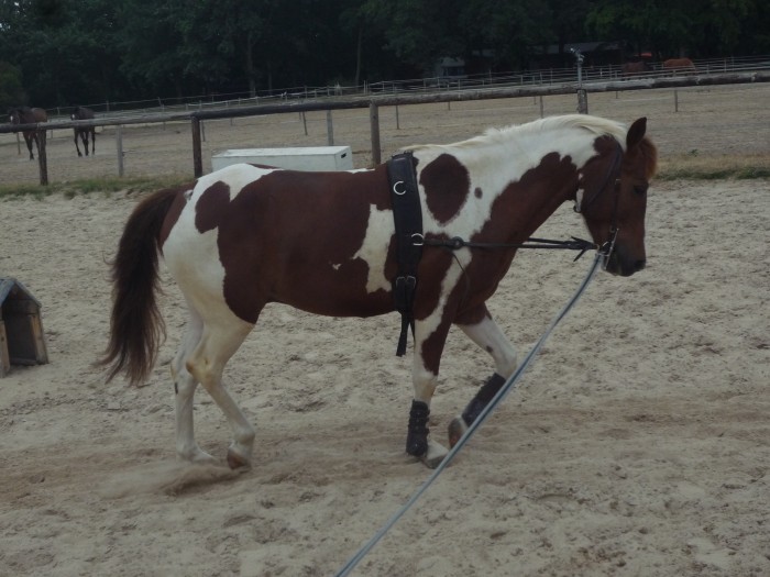 Photo de profil de cara77