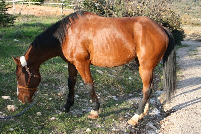 Photo de profil de mandaguelle