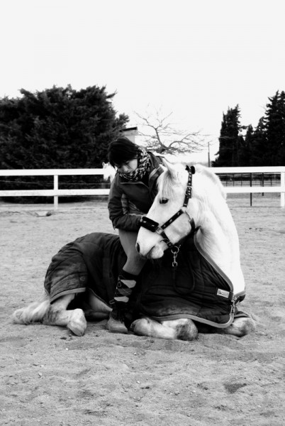 Photo de profil de labrioche