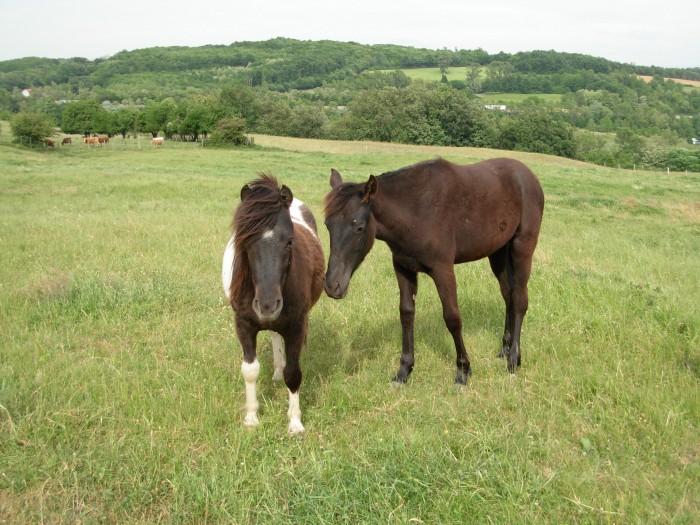 Photo de profil de sandragheor