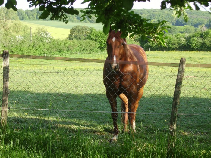 Photo de profil de overo