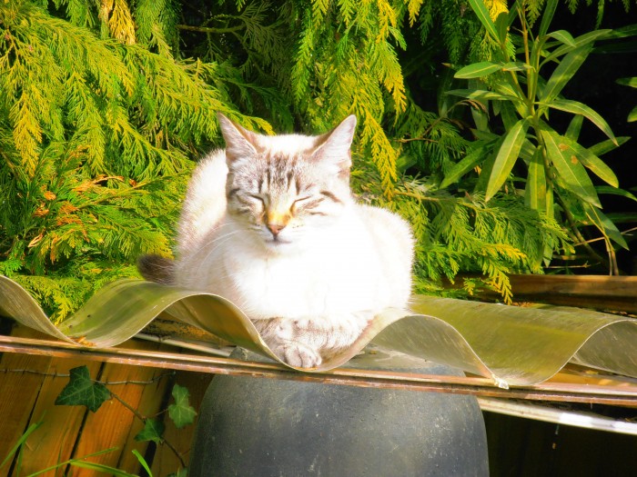 Photo de profil de san32drine