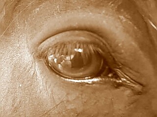 Photo de profil de oxygene10170