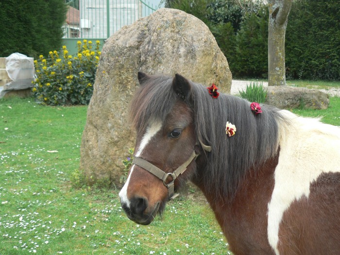Photo de profil de popo65