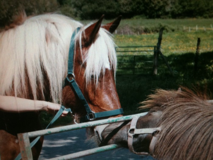 Photo de profil de aurelievenus