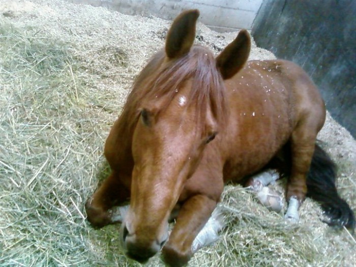 Photo de profil de cheyenne59