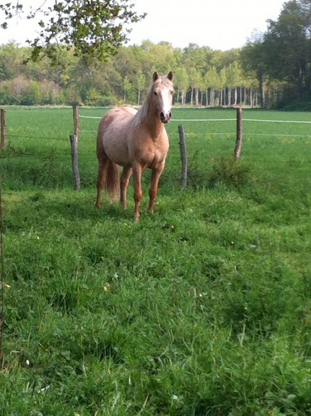 Photo de profil de pascalisabel