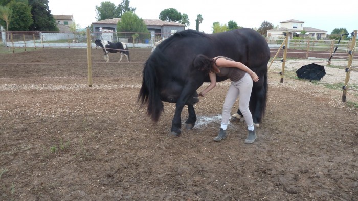 Photo de profil de ninette83