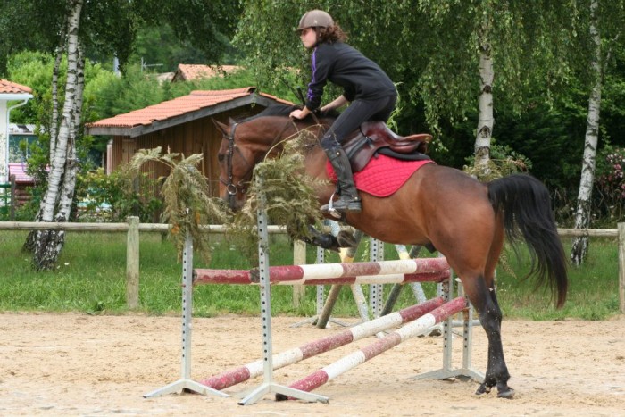 Photo de profil de musu