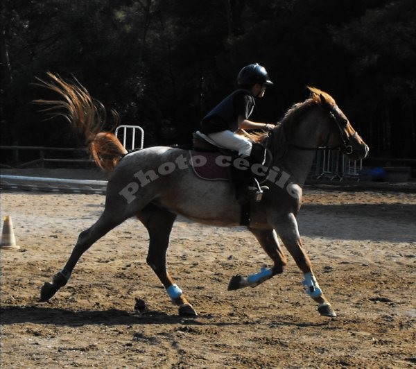 Photo de profil de riverlise