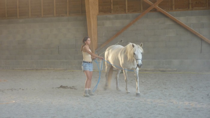 Photo de profil de lolapalooza