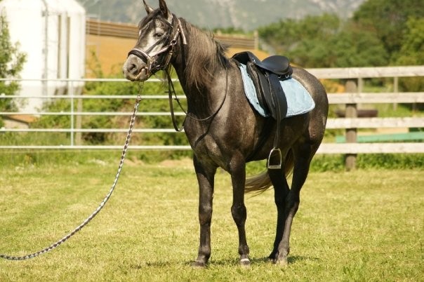 Photo de profil de onanounette