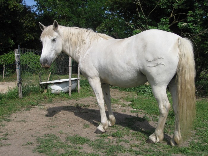 Photo de profil de eolehourca